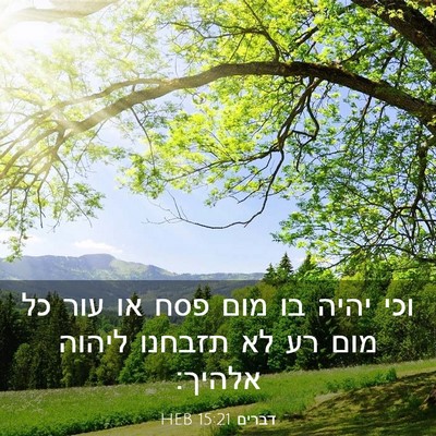 Picture 03 - דברים 15:21 HEB - וכי יהיה בו מום פסח או עור - Bible Verse Picture