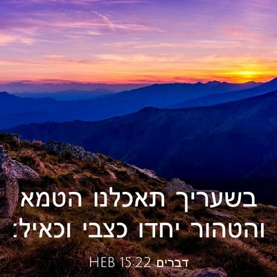 Picture 03 - דברים 15:22 HEB - בשעריך תאכלנו הטמא והטהור - Bible Verse Picture