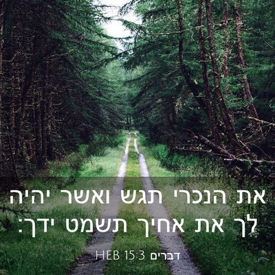 Picture 03 - דברים 15:3 HEB - את הנכרי תגש ואשר יהיה לך - Bible Verse Picture
