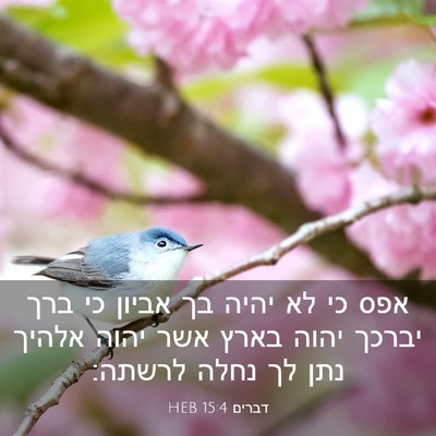 Picture 03 - דברים 15:4 HEB - אפס כי לא יהיה בך אביון כי - Bible Verse Picture
