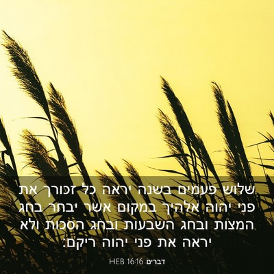 Picture 03 - דברים 16:16 HEB - שלוש פעמים בשנה יראה כל - Bible Verse Picture