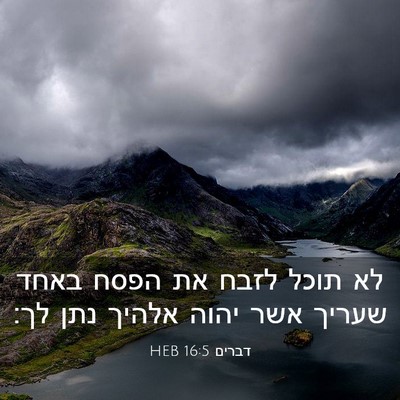 Picture 03 - דברים 16:5 HEB - לא תוכל לזבח את הפסח באחד - Bible Verse Picture
