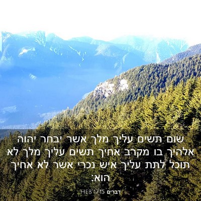 Picture 03 - דברים 17:15 HEB - שום תשים עליך מלך אשר יבחר - Bible Verse Picture
