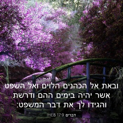 Picture 03 - דברים 17:9 HEB - ובאת אל הכהנים הלוים ואל - Bible Verse Picture