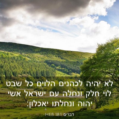 Picture 03 - דברים 18:1 HEB - לא יהיה לכהנים הלוים כל שבט - Bible Verse Picture