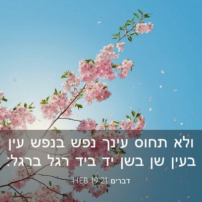 Picture 03 - דברים 19:21 HEB - ולא תחוס עינך נפש בנפש עין - Bible Verse Picture
