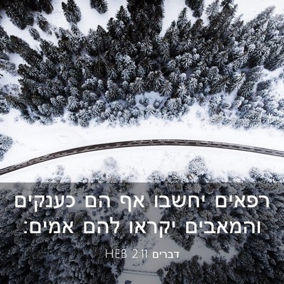 Picture 03 - דברים 2:11 HEB - רפאים יחשבו אף הם כענקים - Bible Verse Picture