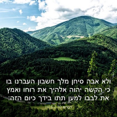 Picture 03 - דברים 2:30 HEB - ולא אבה סיחן מלך חשבון - Bible Verse Picture