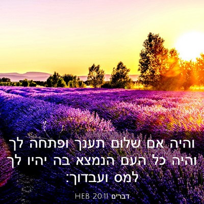 Picture 03 - דברים 20:11 HEB - והיה אם שלום תענך ופתחה לך - Bible Verse Picture