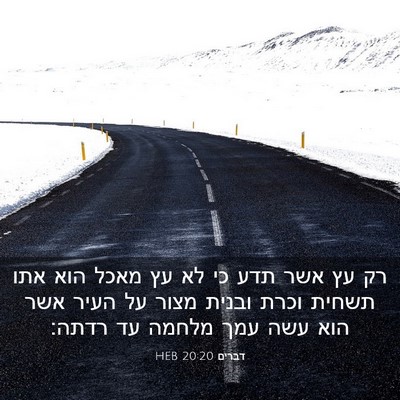 Picture 03 - דברים 20:20 HEB - רק עץ אשר תדע כי לא עץ מאכל - Bible Verse Picture