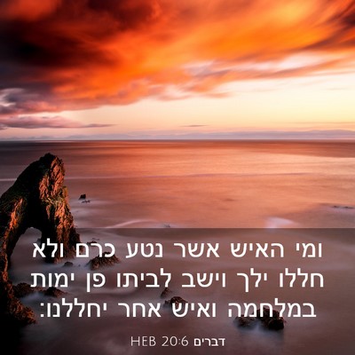 Picture 03 - דברים 20:6 HEB - ומי האיש אשר נטע כרם ולא - Bible Verse Picture