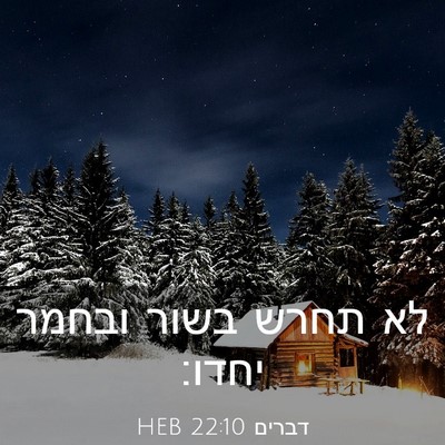 Picture 03 - דברים 22:10 HEB - לא תחרש בשור ובחמר - Bible Verse Picture