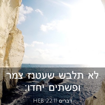 Picture 03 - דברים 22:11 HEB - לא תלבש שעטנז צמר ופשתים - Bible Verse Picture