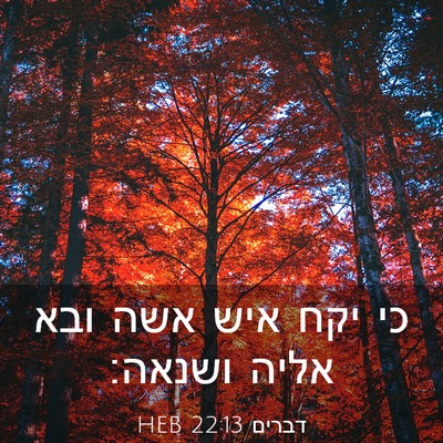 Picture 03 - דברים 22:13 HEB - כי יקח איש אשה ובא אליה - Bible Verse Picture