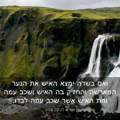 Picture 03 - דברים 22:25 HEB - ואם בשדה ימצא האיש את הנער - Bible Verse Picture