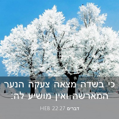 Picture 03 - דברים 22:27 HEB - כי בשדה מצאה צעקה הנער - Bible Verse Picture