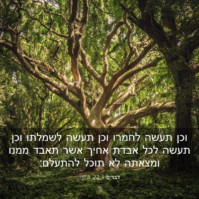 Picture 03 - דברים 22:3 HEB - וכן תעשה לחמרו וכן תעשה - Bible Verse Picture