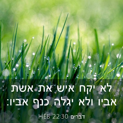 Picture 03 - דברים 22:30 HEB - לא יקח איש את אשת אביו ולא - Bible Verse Picture
