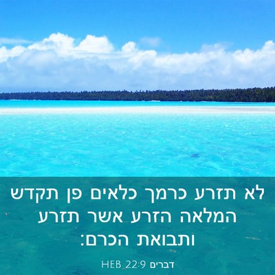 Picture 03 - דברים 22:9 HEB - לא תזרע כרמך כלאים פן תקדש - Bible Verse Picture