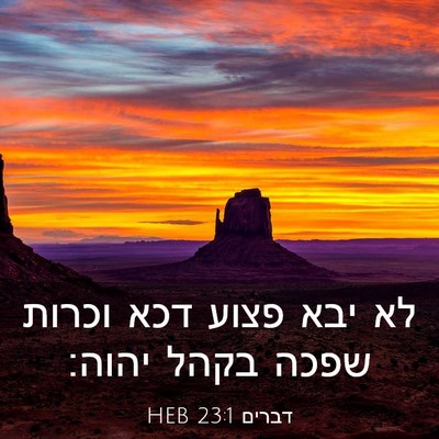 Picture 03 - דברים 23:1 HEB - לא יבא פצוע דכא וכרות שפכה - Bible Verse Picture