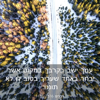 Picture 03 - דברים 23:16 HEB - עמך ישב בקרבך במקום אשר - Bible Verse Picture