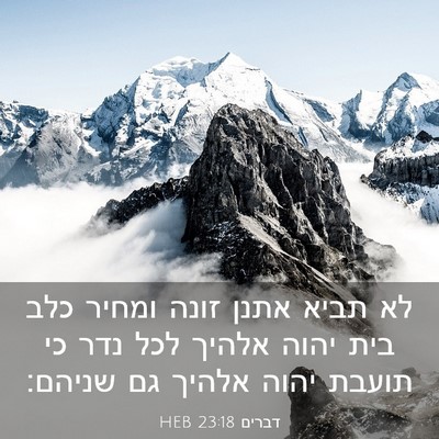 Picture 03 - דברים 23:18 HEB - לא תביא אתנן זונה ומחיר כלב - Bible Verse Picture