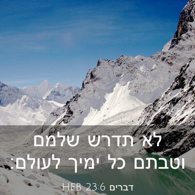 Picture 03 - דברים 23:6 HEB - לא תדרש שלמם וטבתם כל ימיך - Bible Verse Picture