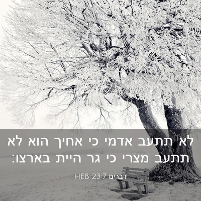 Picture 03 - דברים 23:7 HEB - לא תתעב אדמי כי אחיך הוא לא - Bible Verse Picture
