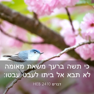 Picture 03 - דברים 24:10 HEB - כי תשה ברעך משאת מאומה לא - Bible Verse Picture