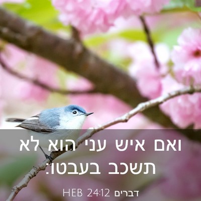 Picture 03 - דברים 24:12 HEB - ואם איש עני הוא לא תשכב - Bible Verse Picture