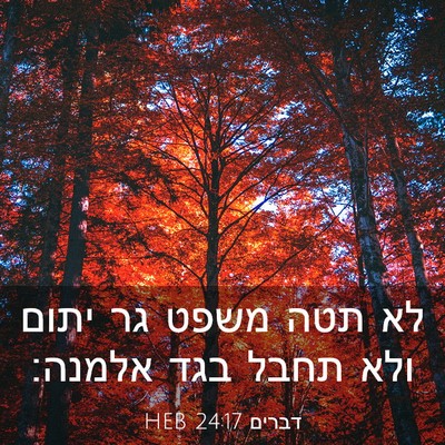 Picture 03 - דברים 24:17 HEB - לא תטה משפט גר יתום ולא - Bible Verse Picture