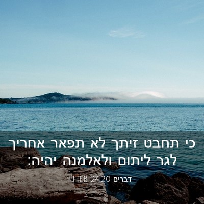 Picture 03 - דברים 24:20 HEB - כי תחבט זיתך לא תפאר אחריך - Bible Verse Picture