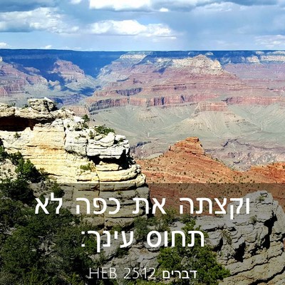 Picture 03 - דברים 25:12 HEB - וקצתה את כפה לא תחוס - Bible Verse Picture