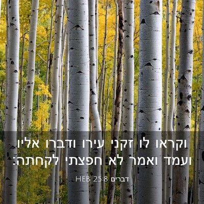 Picture 03 - דברים 25:8 HEB - וקראו לו זקני עירו ודברו - Bible Verse Picture