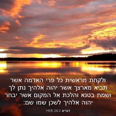 Picture 03 - דברים 26:2 HEB - ולקחת מראשית כל פרי האדמה - Bible Verse Picture