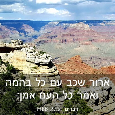Picture 03 - דברים 27:21 HEB - ארור שכב עם כל בהמה ואמר כל - Bible Verse Picture