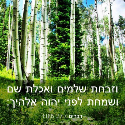 Picture 03 - דברים 27:7 HEB - וזבחת שלמים ואכלת שם ושמחת - Bible Verse Picture