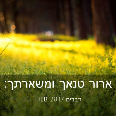 Picture 03 - דברים 28:17 HEB - ארור טנאך - Bible Verse Picture