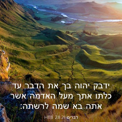 Picture 03 - דברים 28:21 HEB - ידבק יהוה בך את הדבר עד - Bible Verse Picture
