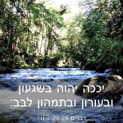 Picture 03 - דברים 28:28 HEB - יככה יהוה בשגעון ובעורון - Bible Verse Picture