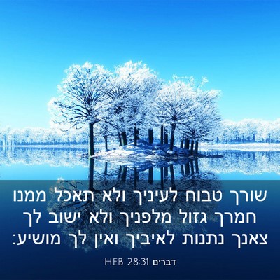 Picture 03 - דברים 28:31 HEB - שורך טבוח לעיניך ולא תאכל - Bible Verse Picture