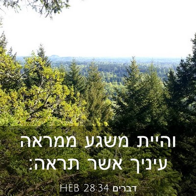 Picture 03 - דברים 28:34 HEB - והיית משגע ממראה עיניך אשר - Bible Verse Picture