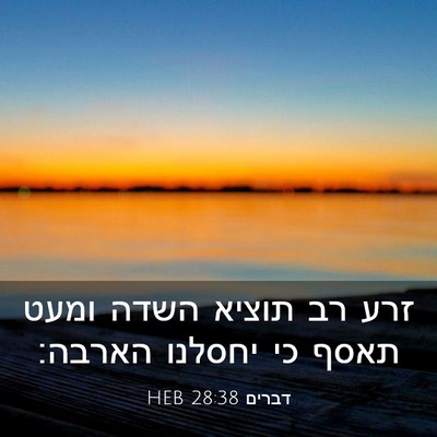 Picture 03 - דברים 28:38 HEB - זרע רב תוציא השדה ומעט תאסף - Bible Verse Picture