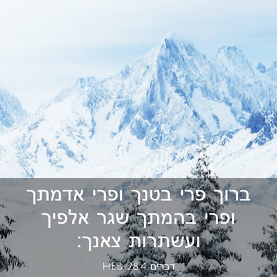 Picture 03 - דברים 28:4 HEB - ברוך פרי בטנך ופרי אדמתך - Bible Verse Picture