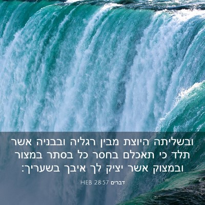 Picture 03 - דברים 28:57 HEB - ובשליתה היוצת מבין רגליה - Bible Verse Picture