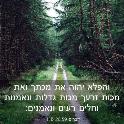 Picture 03 - דברים 28:59 HEB - והפלא יהוה את מכתך ואת מכות - Bible Verse Picture
