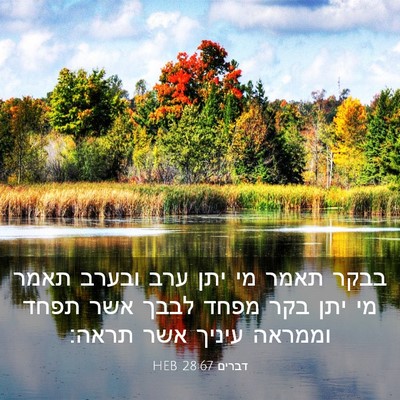 Picture 03 - דברים 28:67 HEB - בבקר תאמר מי יתן ערב ובערב - Bible Verse Picture