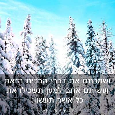 Picture 03 - דברים 29:9 HEB - ושמרתם את דברי הברית הזאת - Bible Verse Picture
