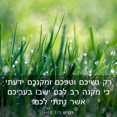 Picture 03 - דברים 3:19 HEB - רק נשיכם וטפכם ומקנכם - Bible Verse Picture