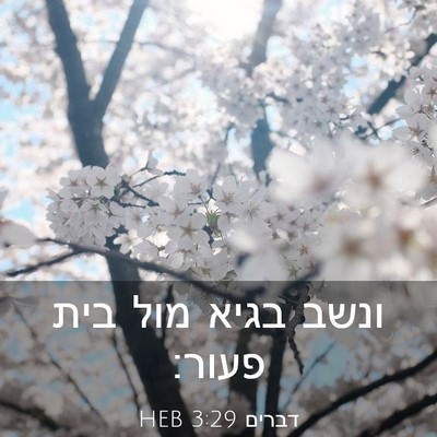 Picture 03 - דברים 3:29 HEB - ונשב בגיא מול בית - Bible Verse Picture
